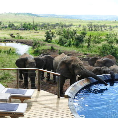 Nambithi Game Reserve